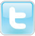 Twitter Icon